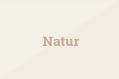 Natur