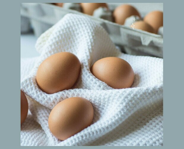 Nuestros huevos. Los mejores huevos de gallina los encuentras aquí