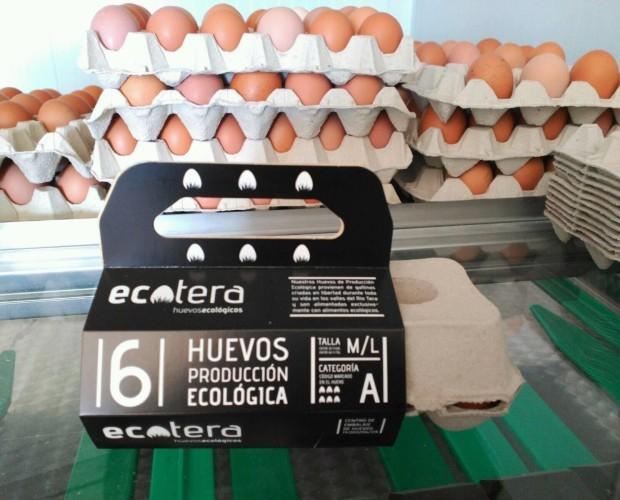 Huevos categoria A. Huevos de alta calidad