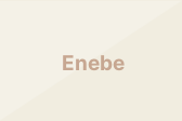 Enebe