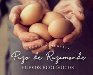 Huevos ecológicos. Huevos de gallinas alimentadas con cereales de forma sostenible