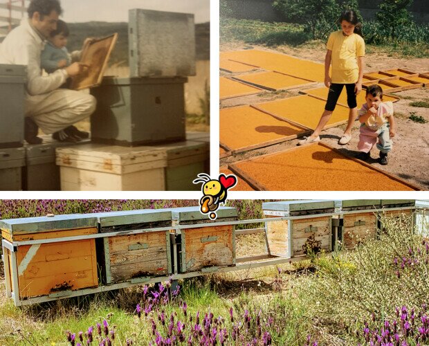 Tradición familiar. Miel Abejarana nace de una tradición familiar, somos la 4 generación de apicultores.