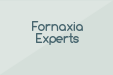Fornaxia Experts