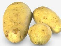 Patatas Ecológicas. Distribuimos patatas de la mejor calidad 