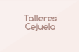 Talleres Cejuela