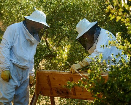 Trabajadores cualificados. Trabajamos con pequeños apicultores ecológicos