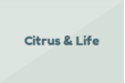 Citrus & Life
