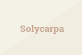 Solycarpa