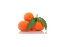 Mandarinas. Directo del árbol a su mesa