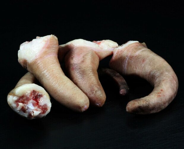 Rabo de cerdo ibérico. Carne procedente de cerdos ibéricos criados en libertad