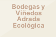 Bodegas y Viñedos Adrada Ecológica