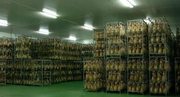 Fábrica. Instalaciones especializadas en elaboración de jamón.