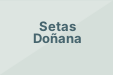 Setas Doñana