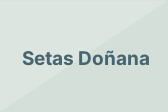 Setas Doñana