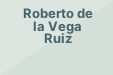 Roberto de la Vega Ruiz