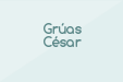 Grúas César