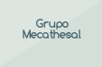 Grupo Mecathesal