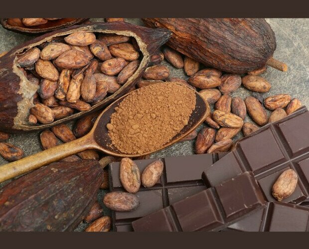 Cacao 100% natural. Tabletas de pasta de cacao 100% natural
