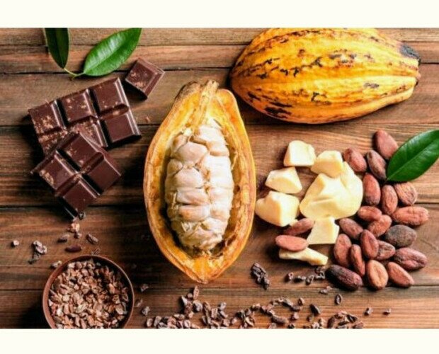 Manteca de cacao. Manteca de cacao 100% natural y sin aditivos