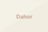 Dahor