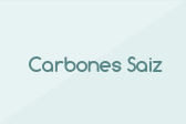 Carbones Saiz