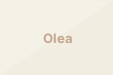 Olea