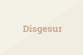 Disgesur