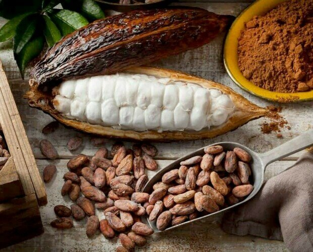 Cacao. El cacao se conoce en Indonesia desde 1560