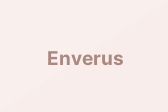 Enverus
