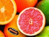 Mandarinas. fruta cítrica