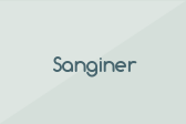 Sanginer