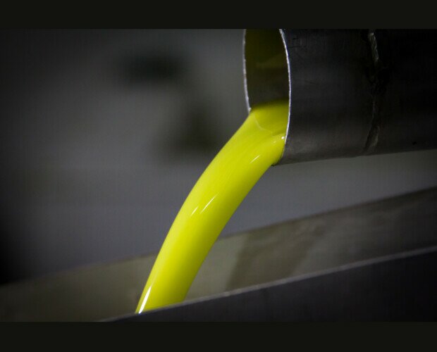 Aceite temprano. Delicioso aceite de oliva temprano
