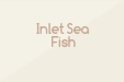 Inlet Sea Fish