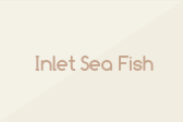 Inlet Sea Fish