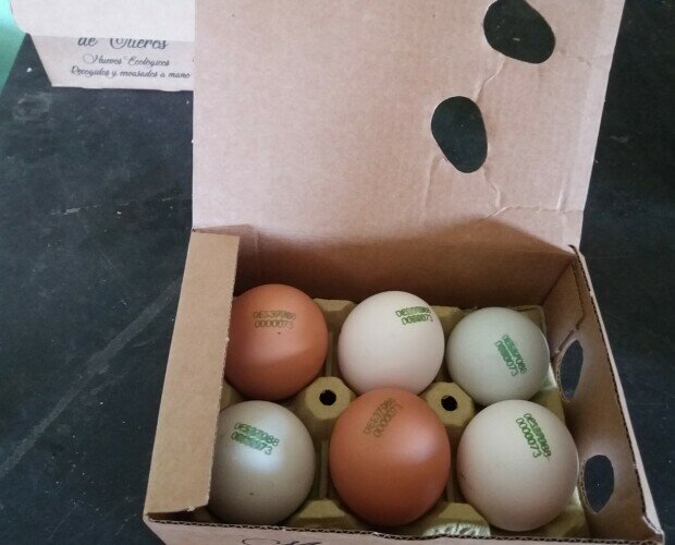 Huevos Manjares de Olleros. Nuestra empresa familiar apuesta por los productos de la tierra y la máxima calidad