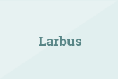 Larbus