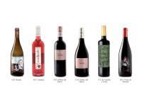 Vinos Gourmet. Variedad de vinos con denominación de origen