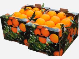 Naranjas. Productos de calidad