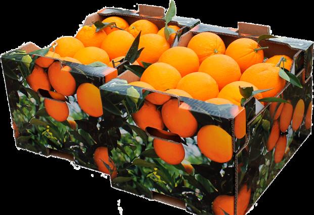 Cajas de naranjas. Productos de calidad
