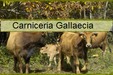 Carnicería Gallaecia