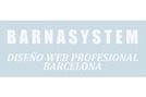 Barnasystem Diseño web Profesional