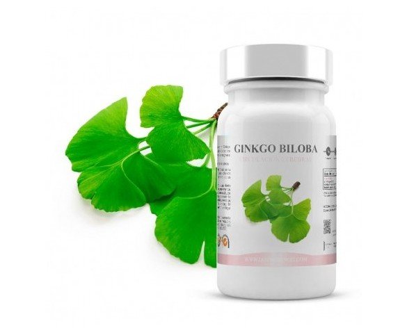 Gingko Biloba. Mejora el flujo sanguíneo en la cabeza y optimiza la oxigenación del cerebro
