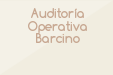 Auditoría Operativa Barcino