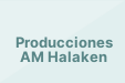 Producciones AM Halaken