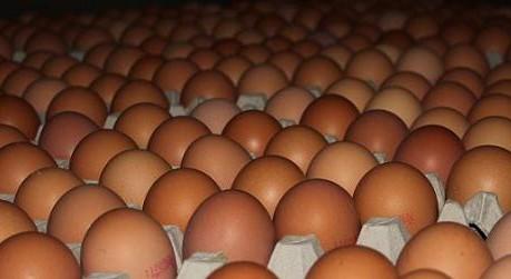 Huevos frescos. Huevos frescos de gallina de varios tamaños