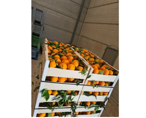 Caja de Naranjas. Caja de naranjas lane late de 20 kilogramos.