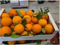 Naranjas. Caja de naranjas de 15 kilogramos. 