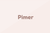 Pimer