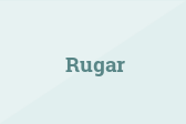 Rugar