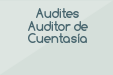 Audites Auditor de Cuentasía